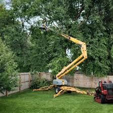 Best Hazardous Tree Removal  in Shark River Hills, NJ